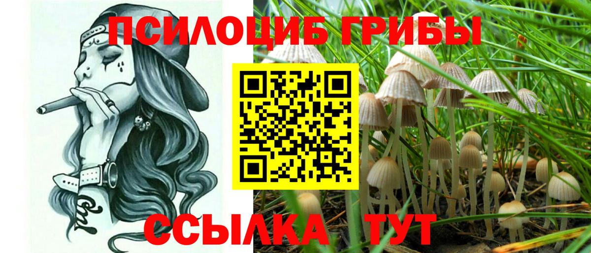 Псилоцибиновые грибы Psilocybe  Вход с VPN  Нижнекамск 