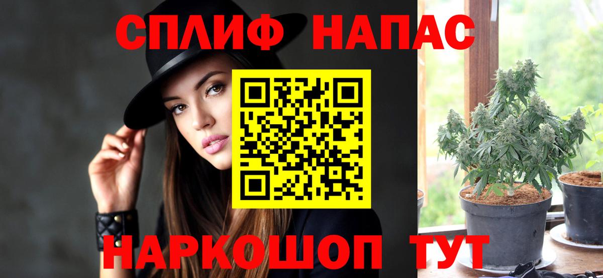 Бошки Шишки семена  Вход с VPN  Конопля Amnesia  Нижнекамск  Канабис SATIVA & INDICA 